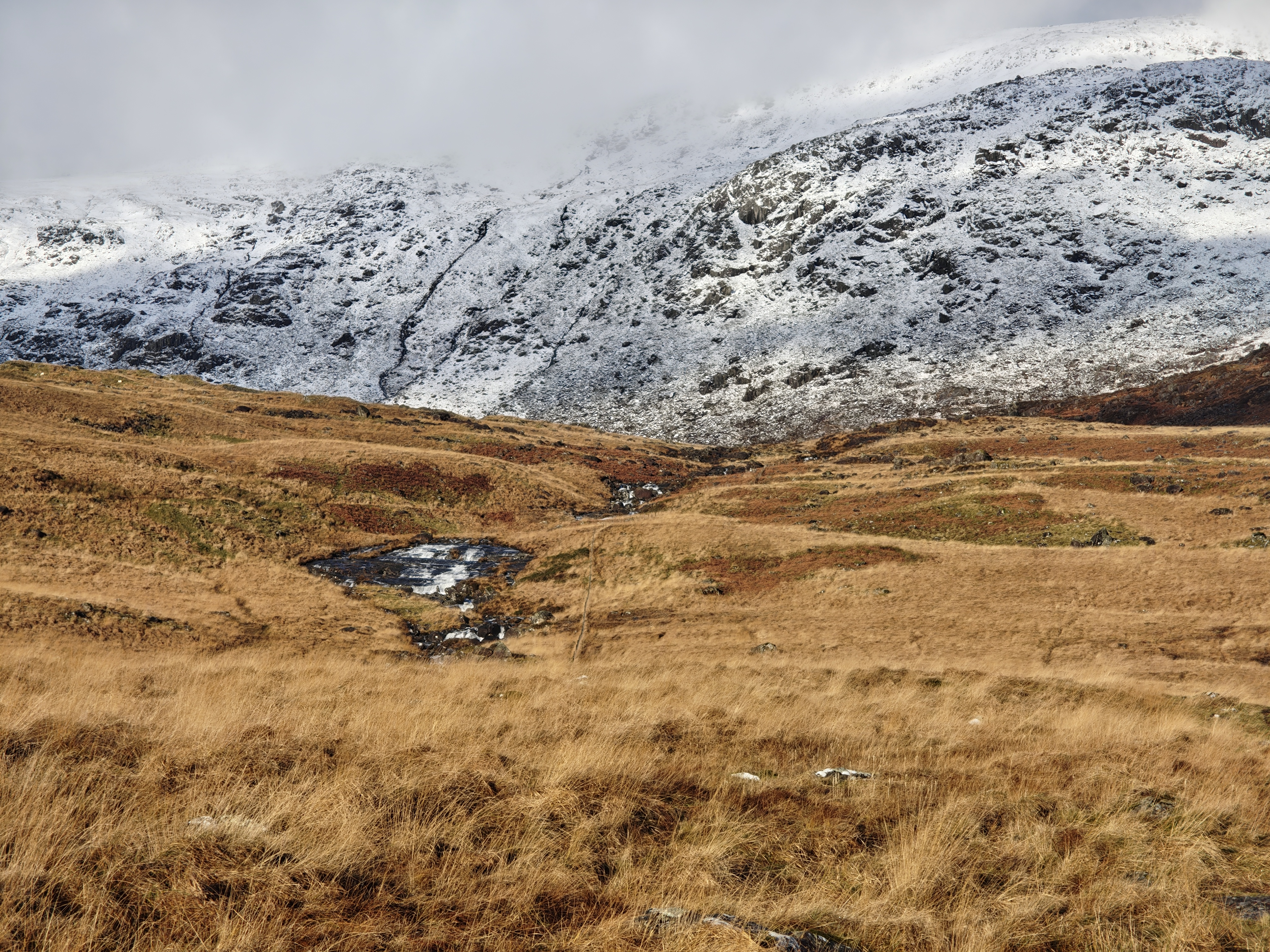 A camera sample captured on the Nothing Phone 3.