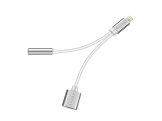 Lightning Port to 3.5mm Adapter