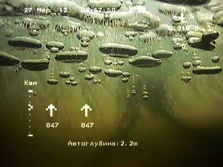 Methane gas bubbles rising through Arctic Ocean water, seen by a remotely operated vehicle.