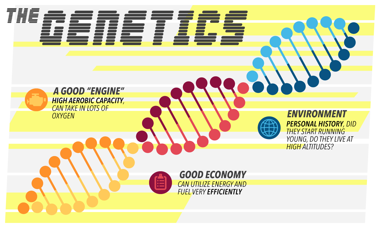 How to Build the World's Fastest Marathoner - Genetics