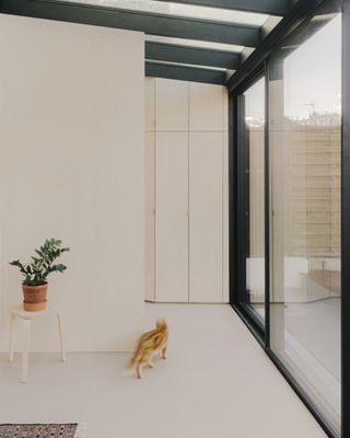 White minimalist french home interior of extension by Saba Ghorbanalinejad