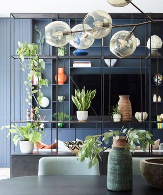 Blue open-plan living space with metal shelving room divider, decorated with houseplants and ornaments, table in foreground with vase of foliage