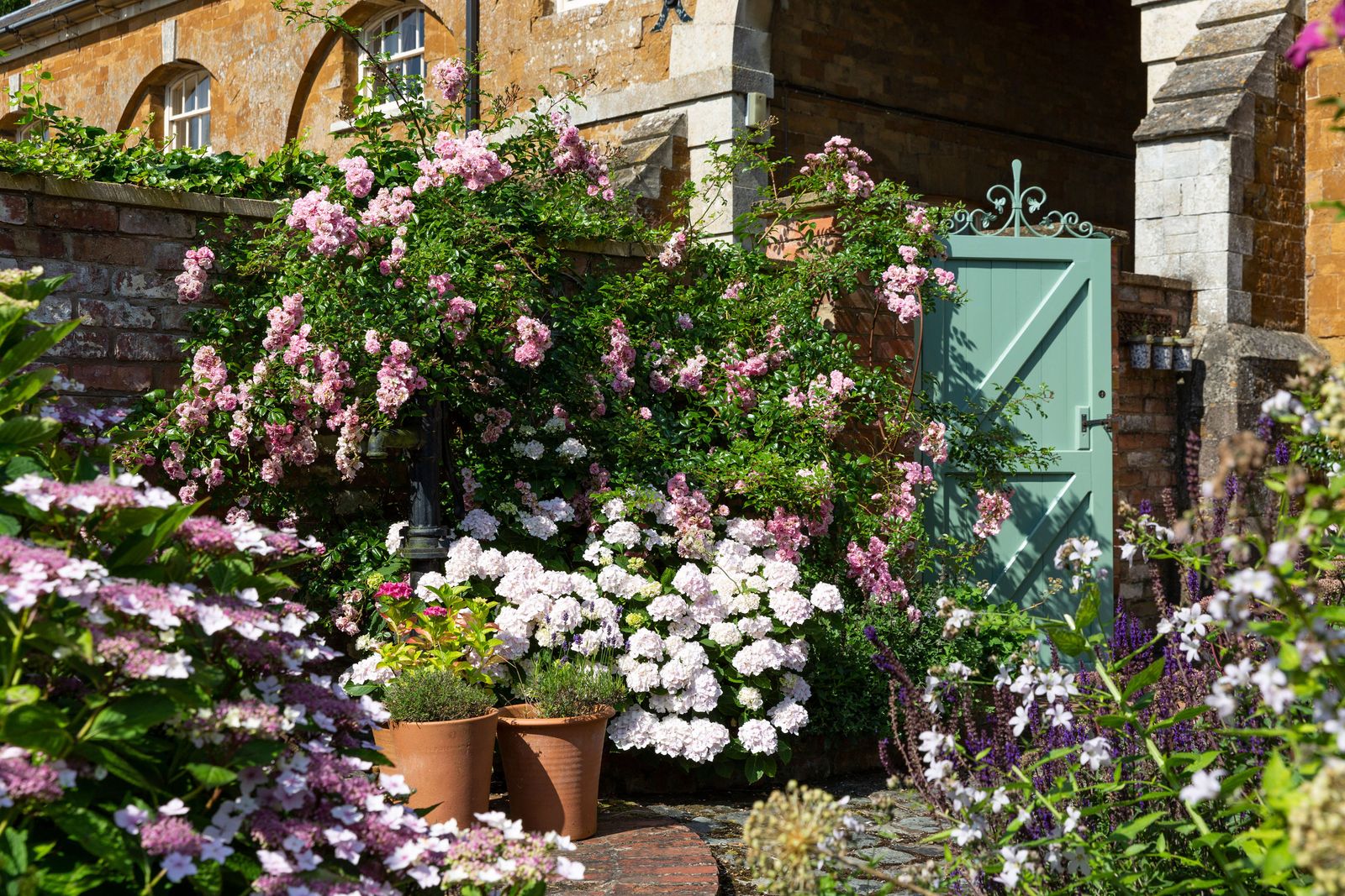 It’s time to prune your rambling roses. Here’s Monty Don’s advice