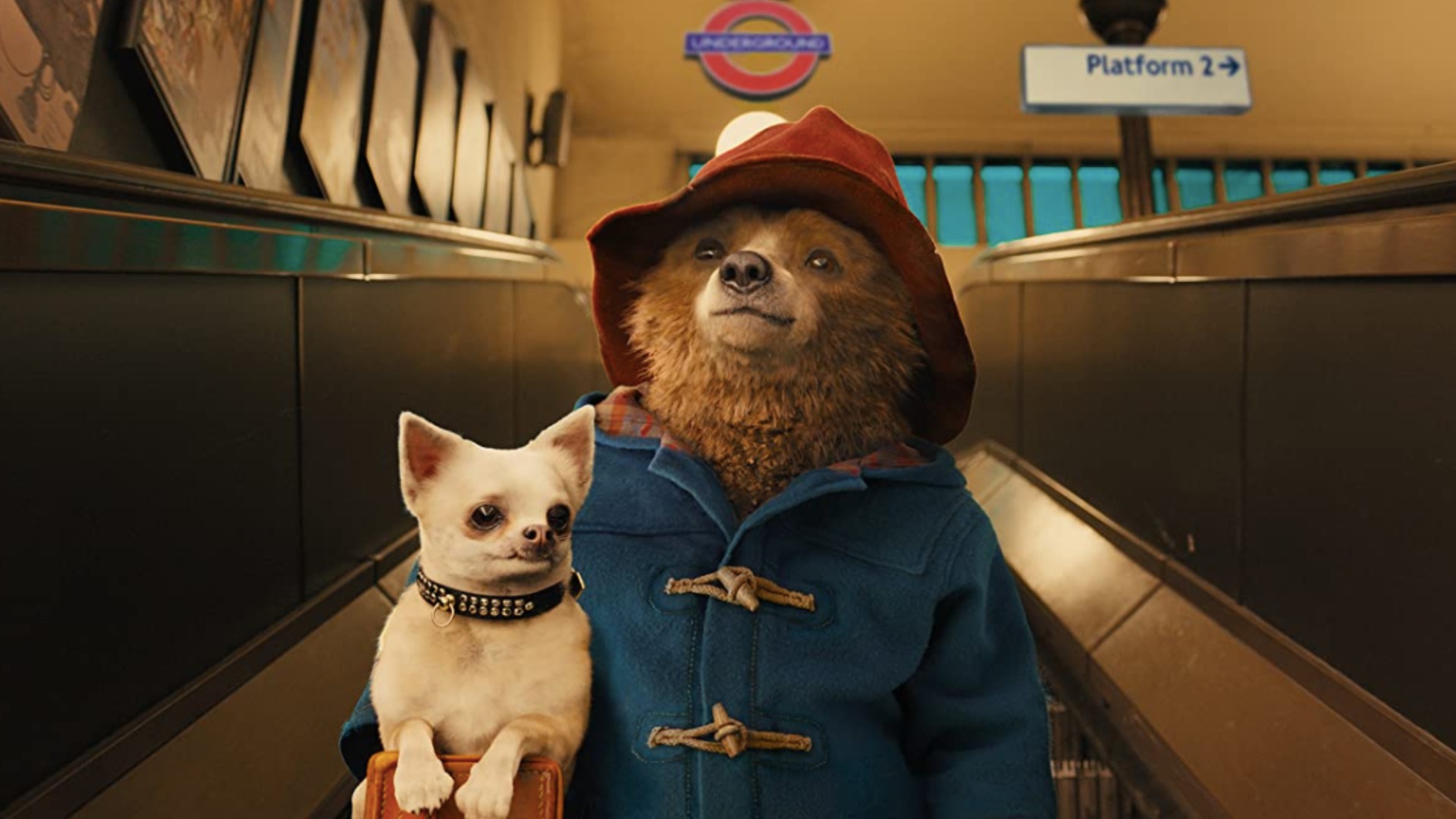 paddington