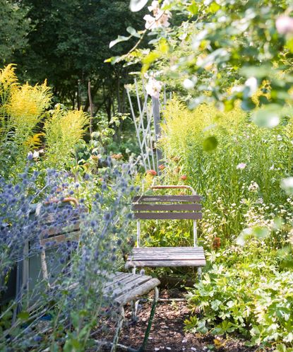 Gardening for beginners: 8 easy tips for getting started | Gardeningetc