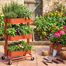 IKEA Raskog trolley holding herbs and plants in courtyard with pink geraniums and other plants