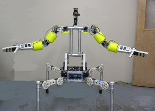 Team Mojavaton's Robot - Buddy