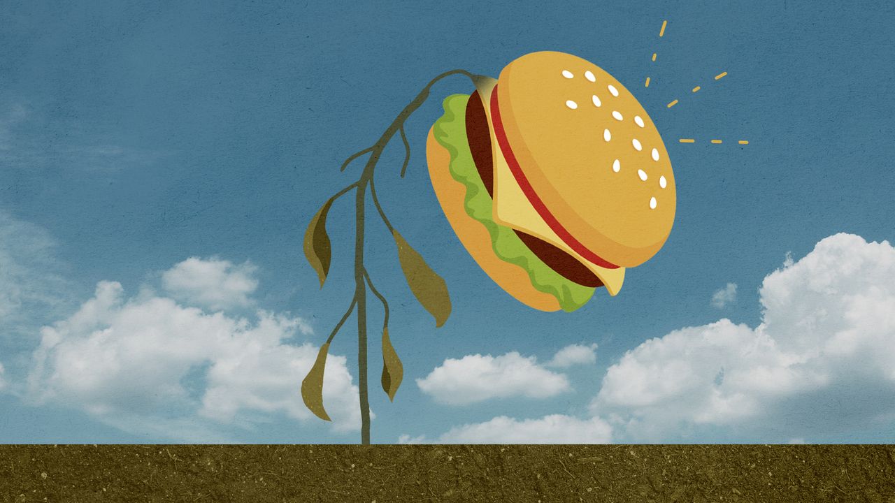 A plantburger.