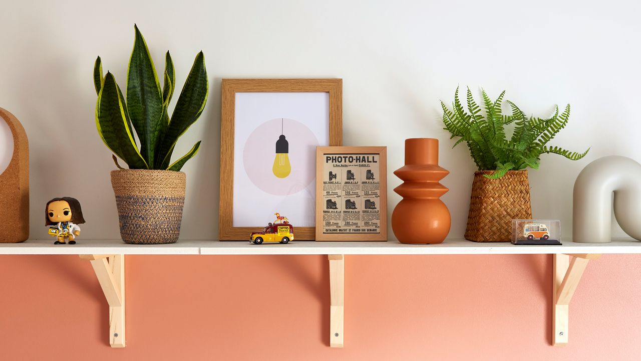 Plant and artwork on a wooden open shelf with white wall above and coral wall below