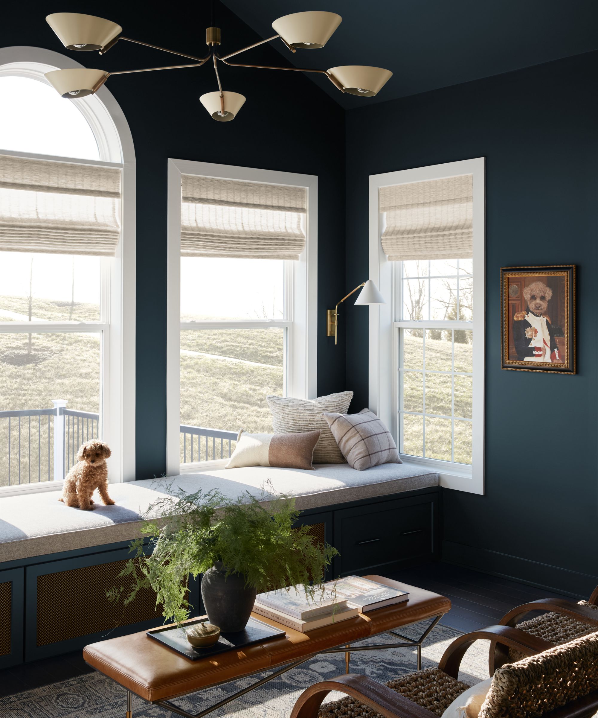 Sunroom with navy blue walls, a built-in bench with neutral cushions, a puppy sat on top, three large windows looking out onto a garden, and a leather coffee table with books and a vase of foliage.