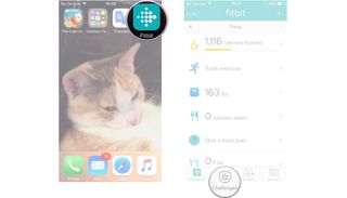 Launch Fitbit, tap challenges