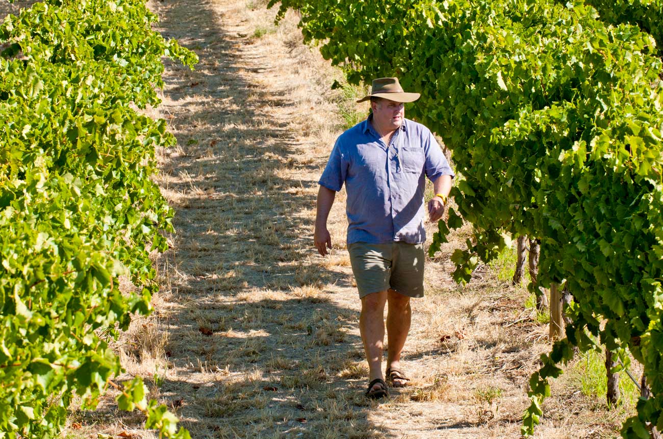 Brad Higgins walking in the vineyard