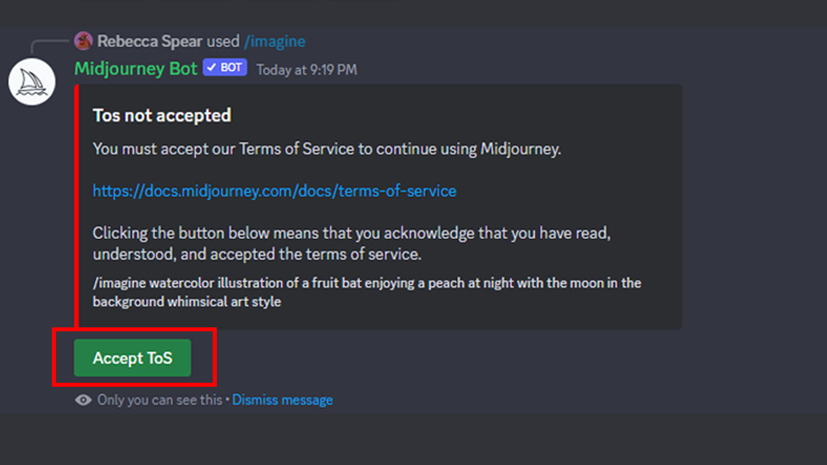 Accept the Midjourney Terms of Service.