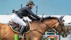 Showjumper carrying a competition legal whip while jumping a fence