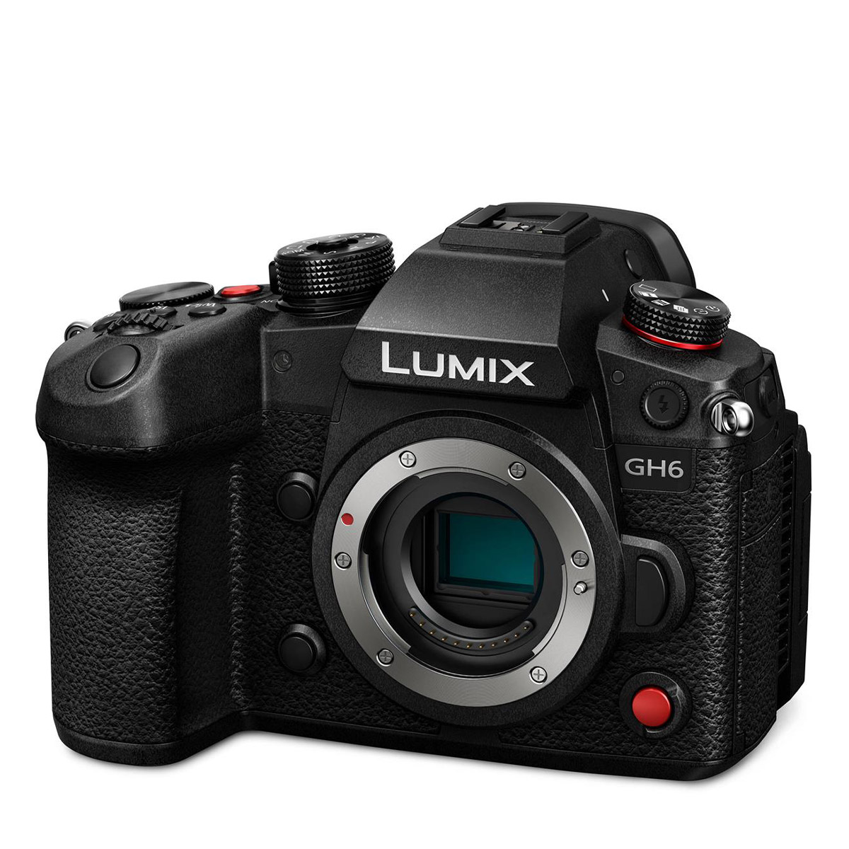 Panasonic Lumix G9 II review: a superb wildlife camera Panasonic Lumix G9 II review: a superb wildlife camera