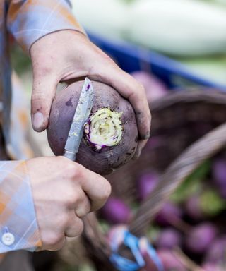 Preparing a rutabaga after harvesting