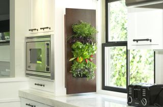 edible wall in a kitchen