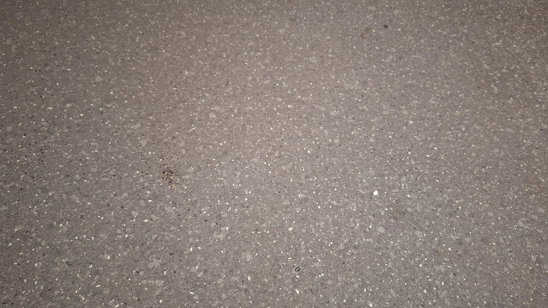 A few remnants of tea and oats on a lino floor after a single pass