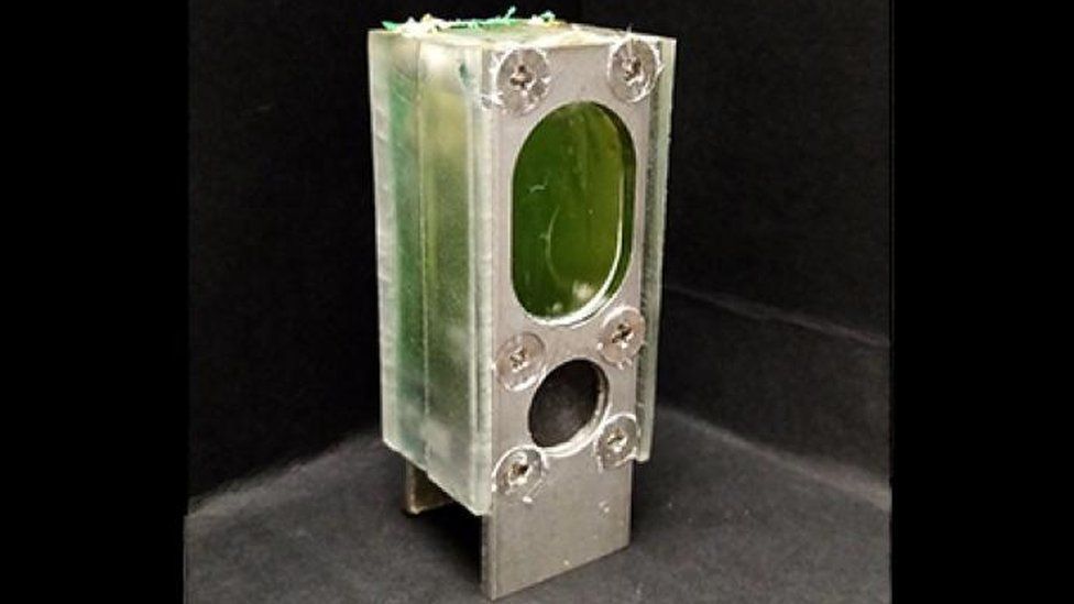 Algae battery viewed from side, clear plastic showing green water and girded by aluminum supports screwed in.