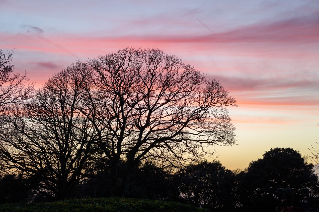 Panasonic Lumix S1R II sample photograph