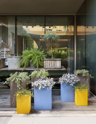 blue and yellow planters on deck in coastal garden
