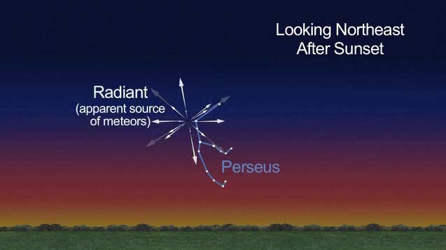 Perseid Meteor Graphic 2012