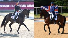 fame carl hester