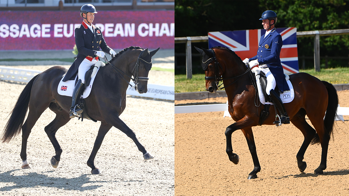fame carl hester