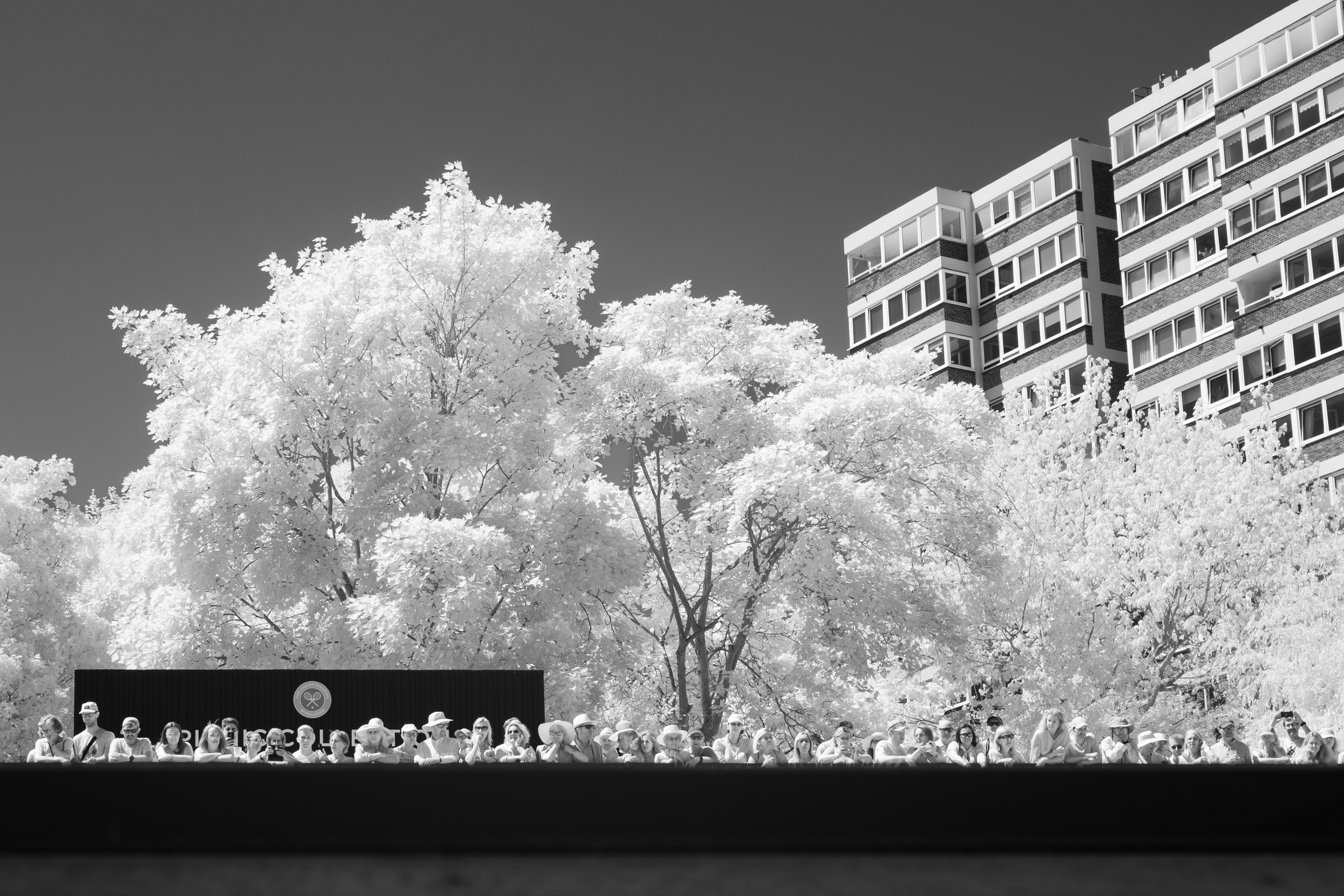The Wimbledon tennis championships shot in infrared