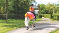 A rider and horse in high vis hacking on the road