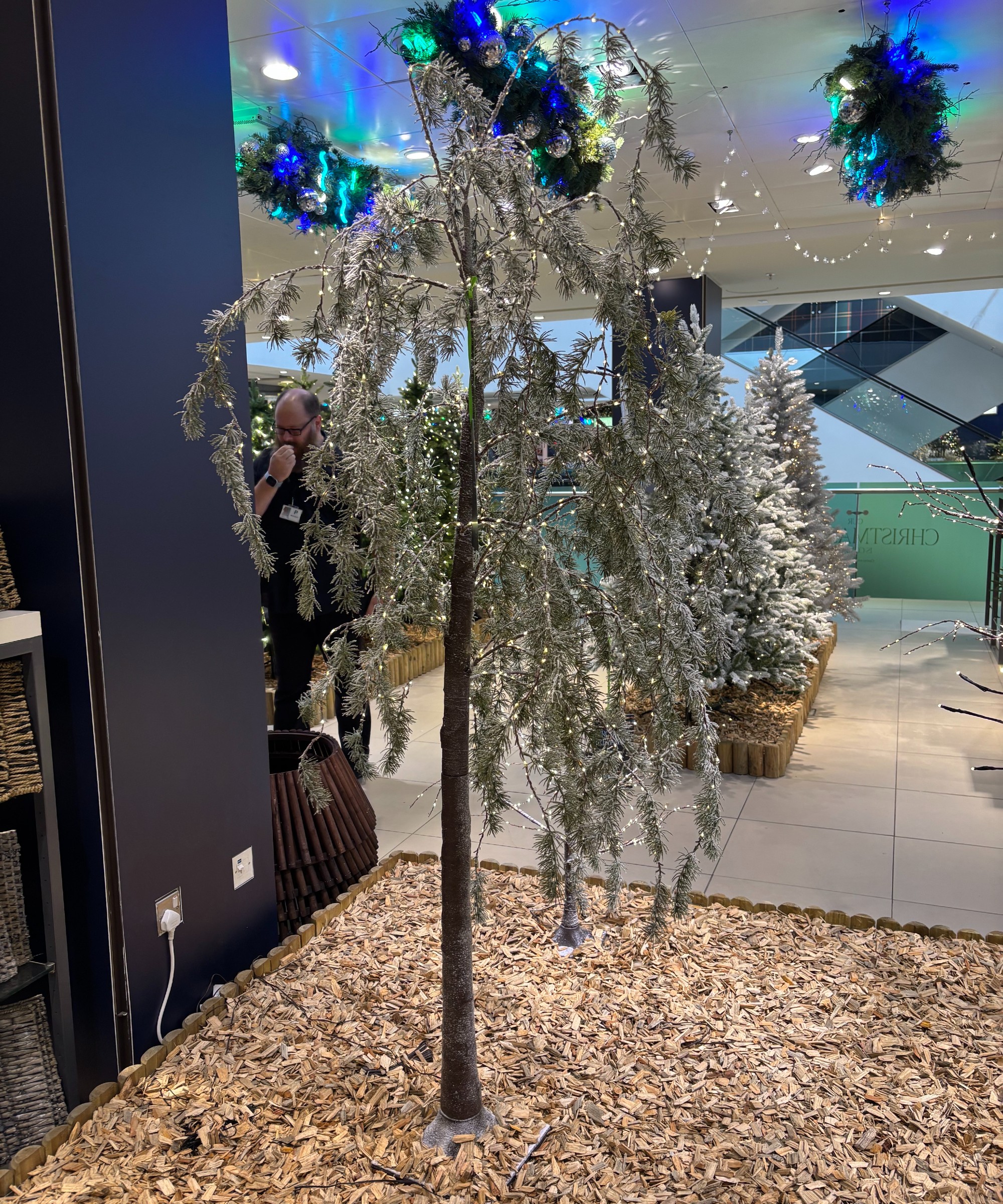 John Lewis Indoor/Outdoor Pre-lit Twig Tree in the John Lewis Oxford Street store