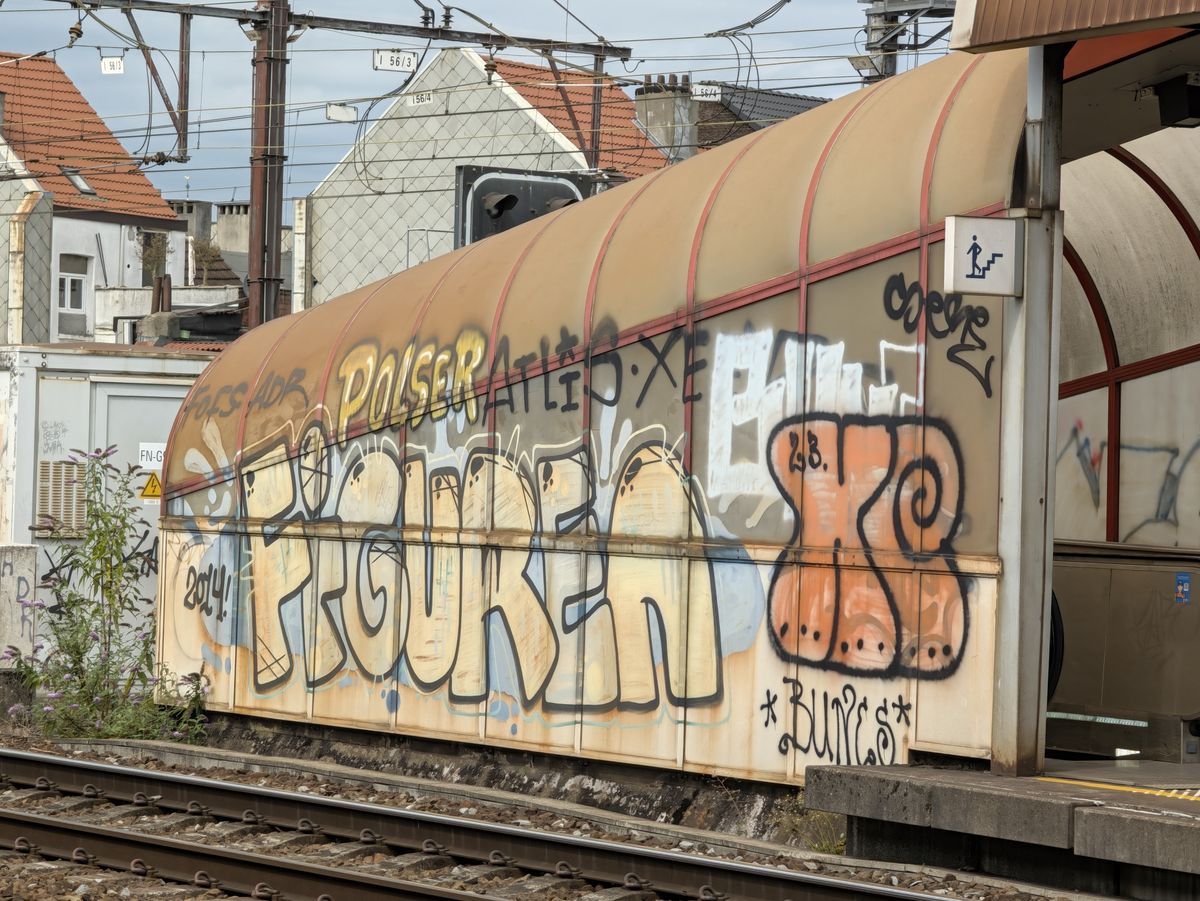 Google Pixel 11 Pro voorbeeldfoto