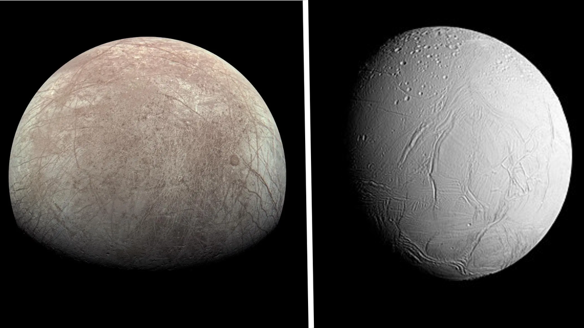 土星と木星の衛星エンケラドゥスとエウロパの表面近くには生命の痕跡が残っている可能性がある