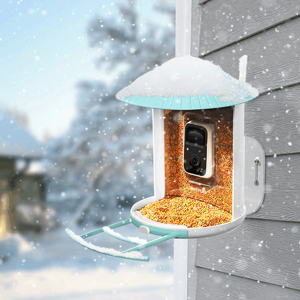 netvue bird feeder camera
