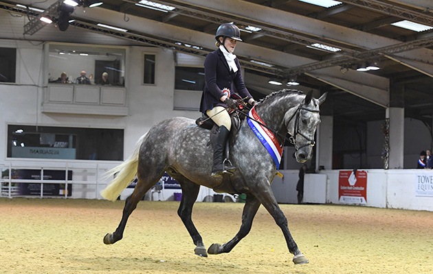 Hoghton Solitaire