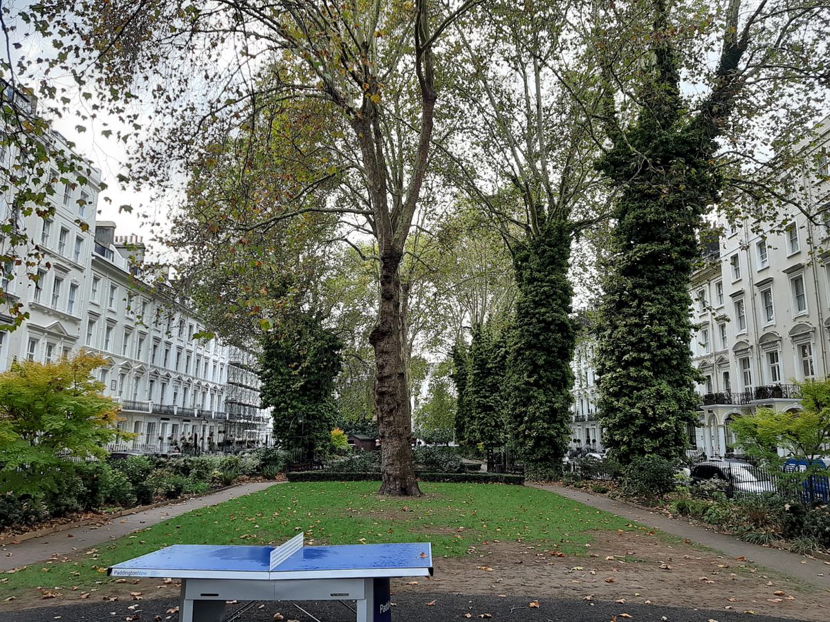 Primary camera landscape sample