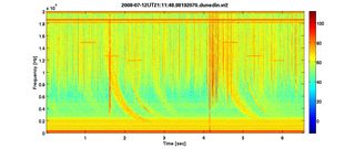 A spectrogram of whistlers recorded in Dunedin, New Zealand.