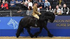 Lunesdale-Dixie_Olympia_PN19_31808.jpg
