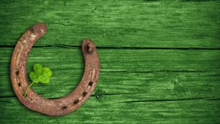 A horseshoe and clover leaf on a green wood background.