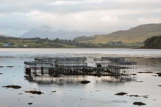 ‘Climavore: On Tidal Zones’ highlights the effects of intensive salmon aquaculture on the Isle of Skye with an installation that works as an underwater oyster table at high tide and a dining table for humans at low tide by Cooking Sections