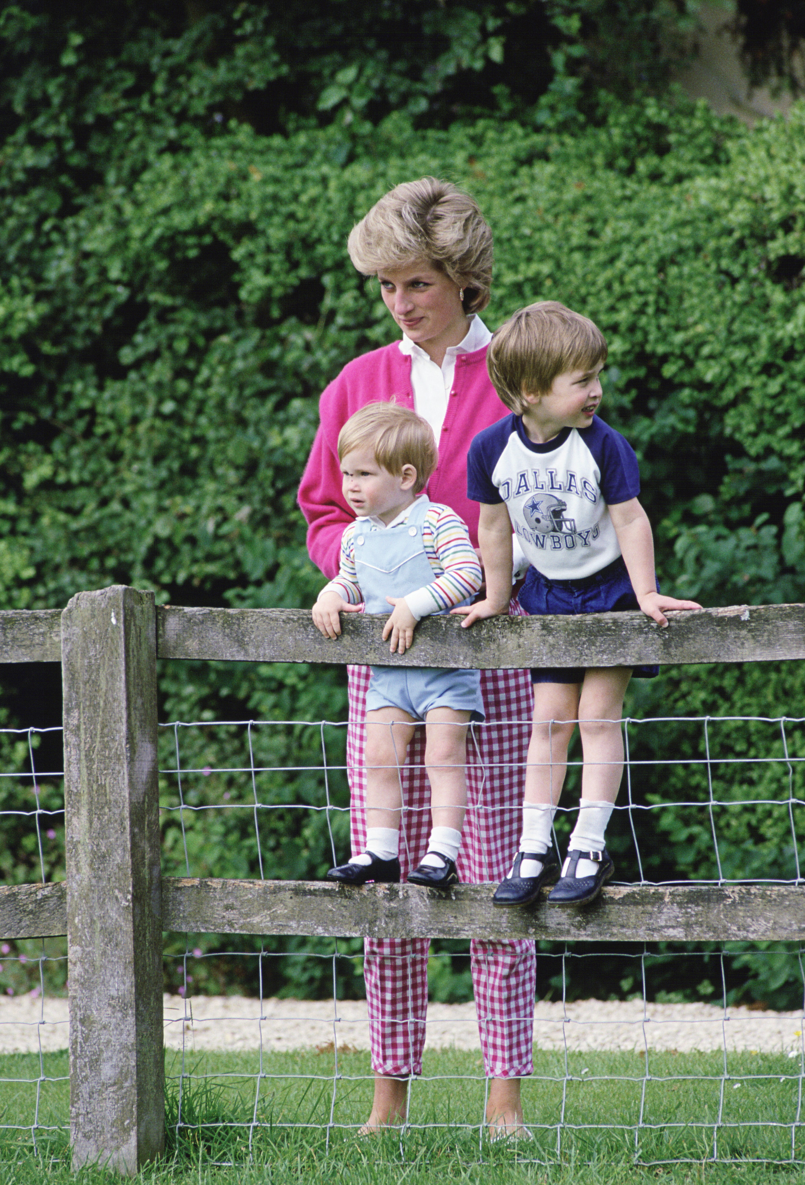 Princess Diana standing behind Harry and William, who are standing on a fence wearing shorts