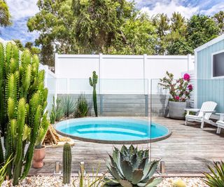 plunge pool with deck and cacti