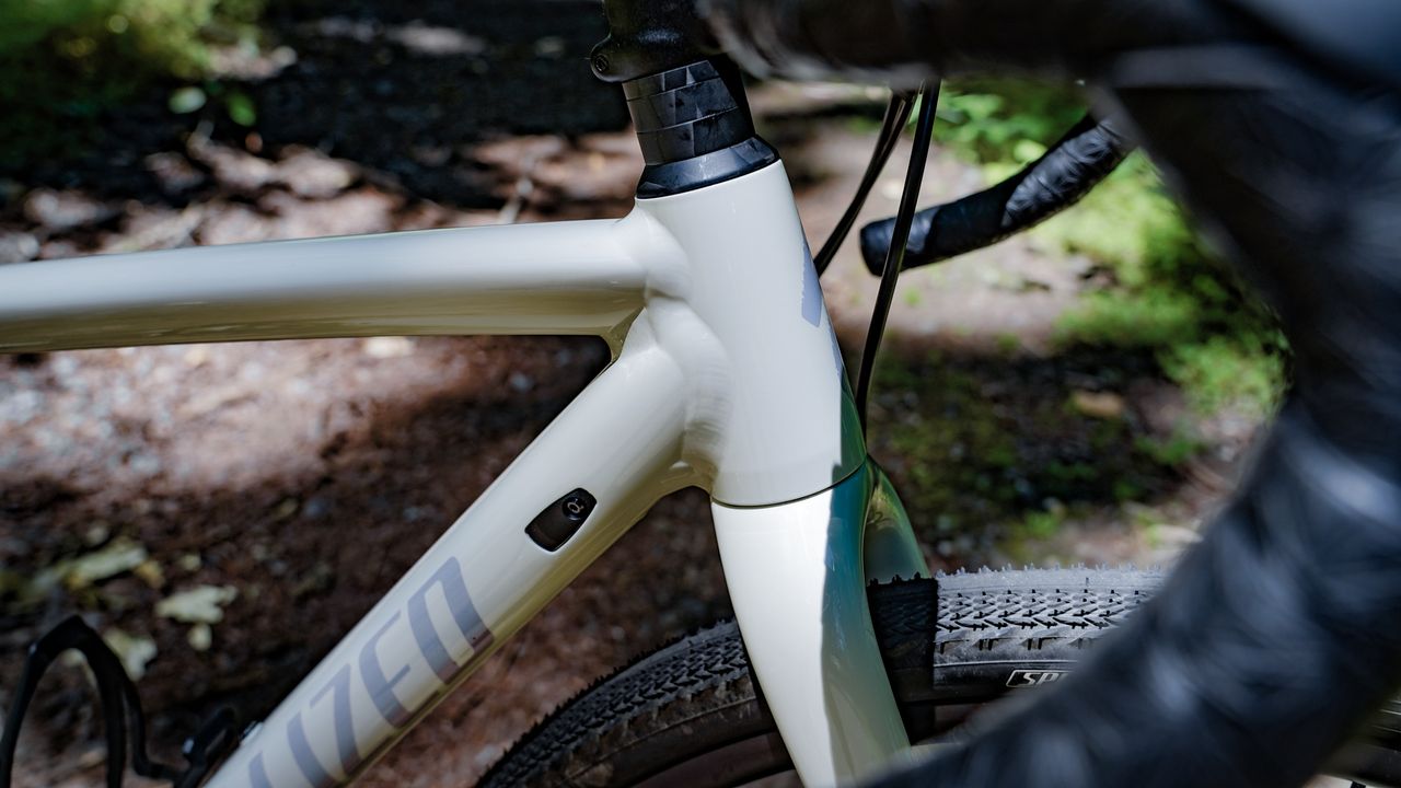 The 2024 Specialized Crux DSW