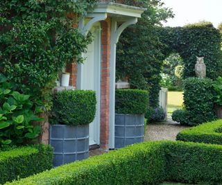 formal front garden with boxwood