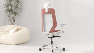 Flexispot OC14 Ergonomic Chair Pro