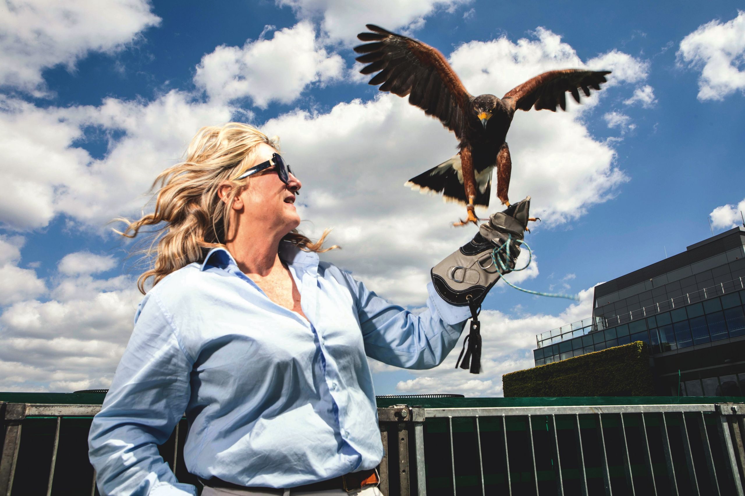 'I know that Serena Williams doesn’t like him': Meet the people, dogs and harris hawk that really rule Wimbledon