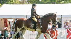 Fife_Show_24-7149.jpg