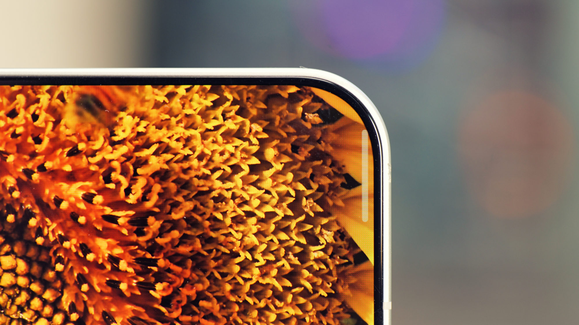 Oppo Find X10 Pro Max review