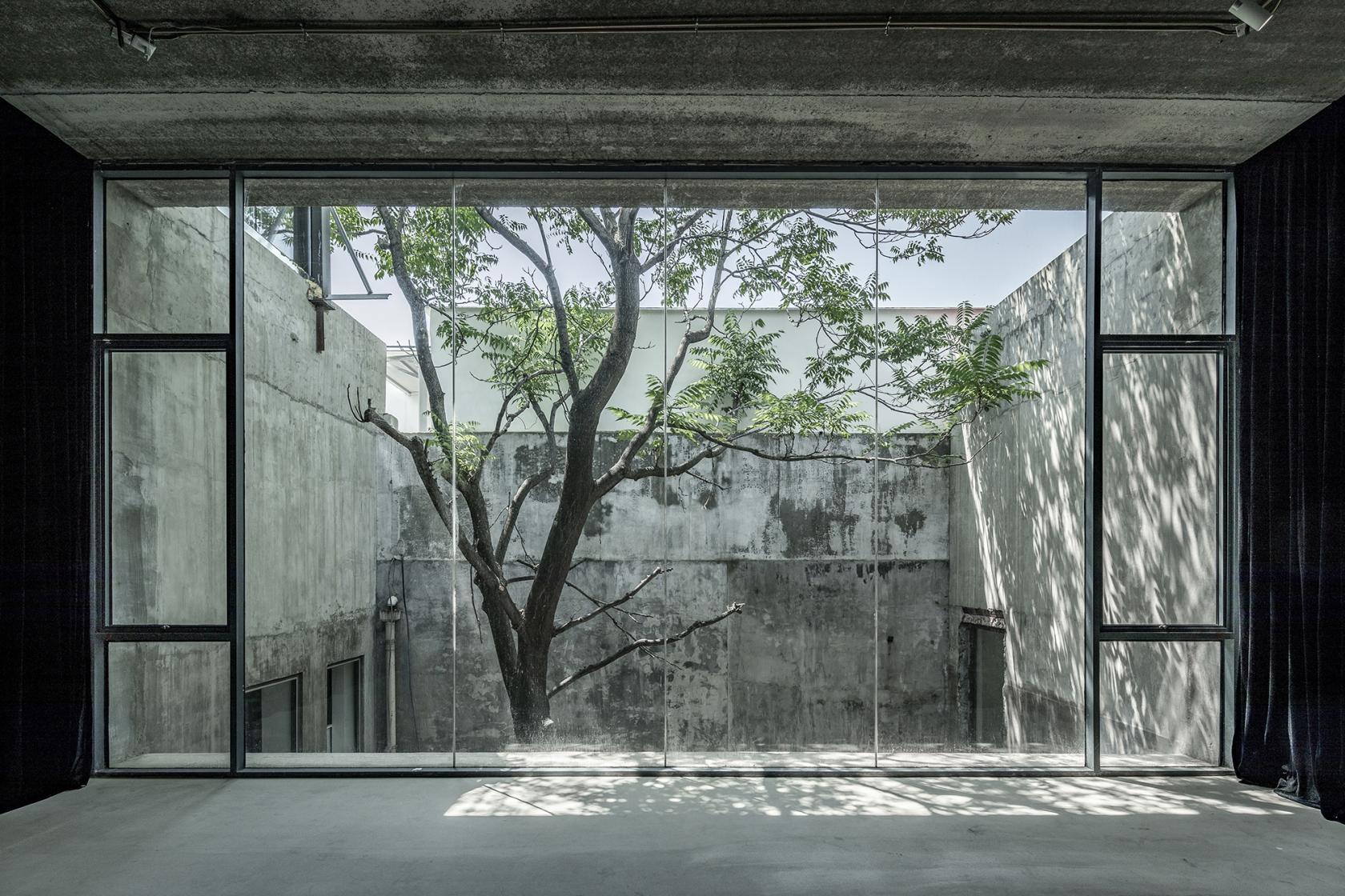 View of tree outside wall length window