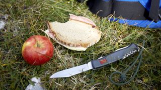an apple, sandwich, and multi-tool